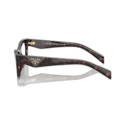 Butterfly Frame Glasses
