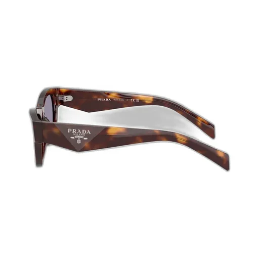 Square-Frame Sunglasses