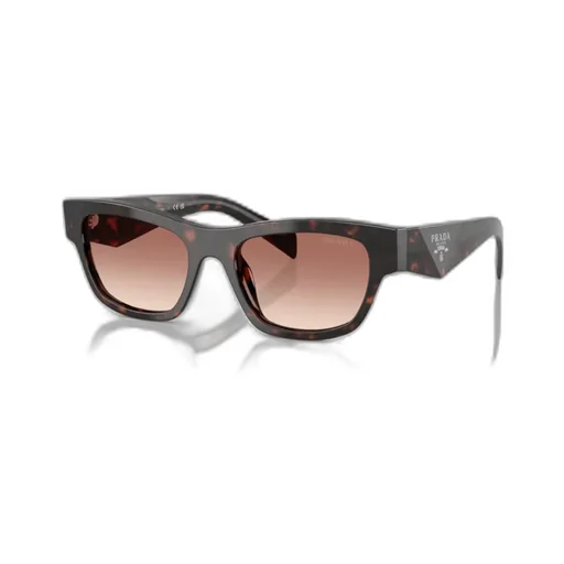 Full Frame Sunglasses