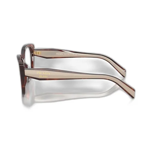 Cat-Eye Glasses