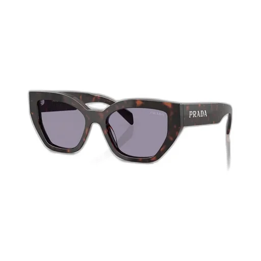 Butterfly Frame Sunglasses