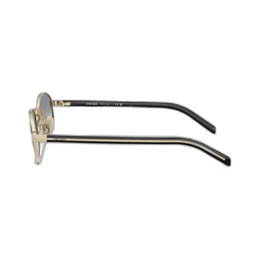 Oval Frame Sunglasses