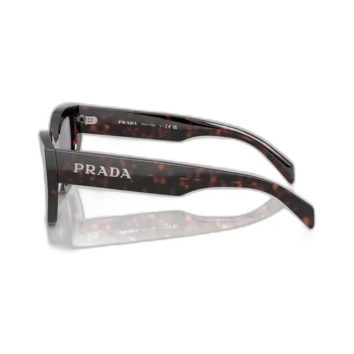 Butterfly Frame Sunglasses