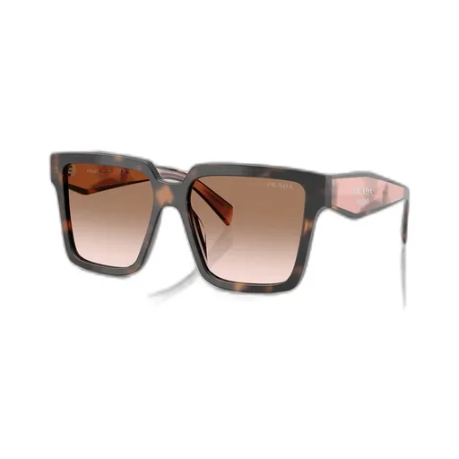 Square Frame Sunglasses