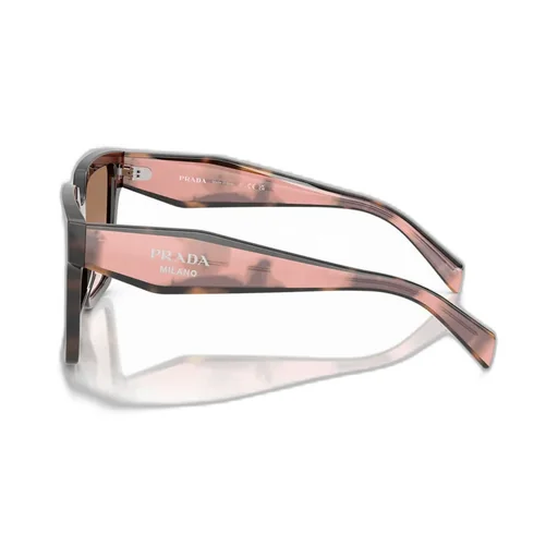 Square Frame Sunglasses