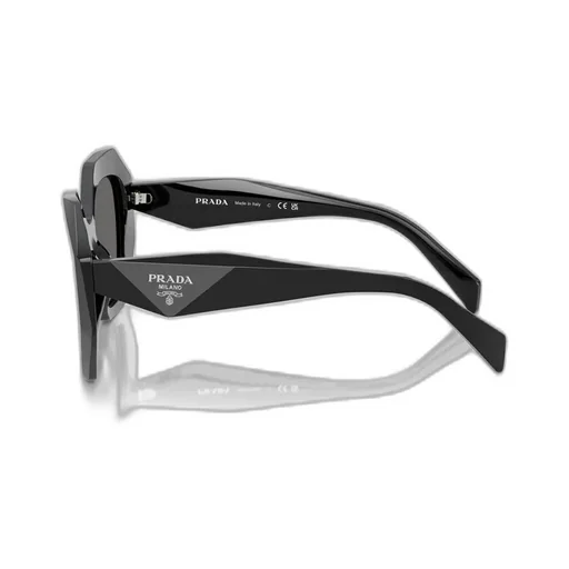 Butterfly Frame Sunglasses