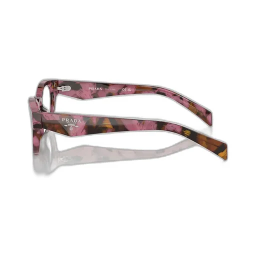 Oval Fame Glasses