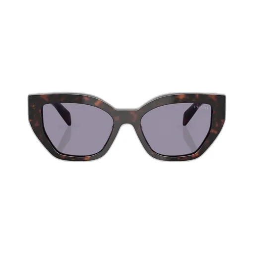 Butterfly Frame Sunglasses