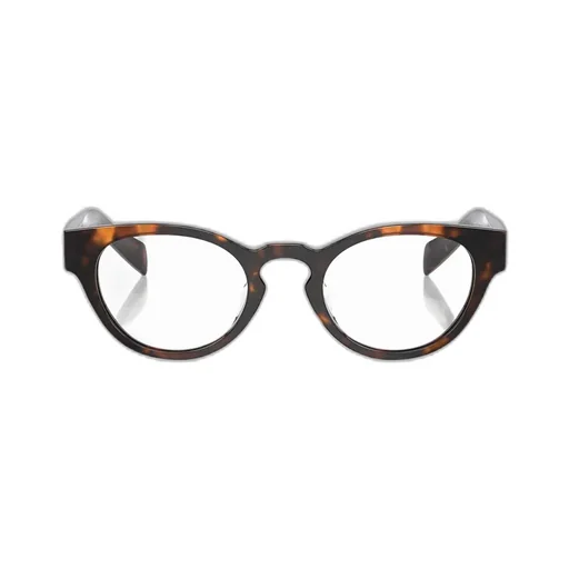 Oval Frame Glasses