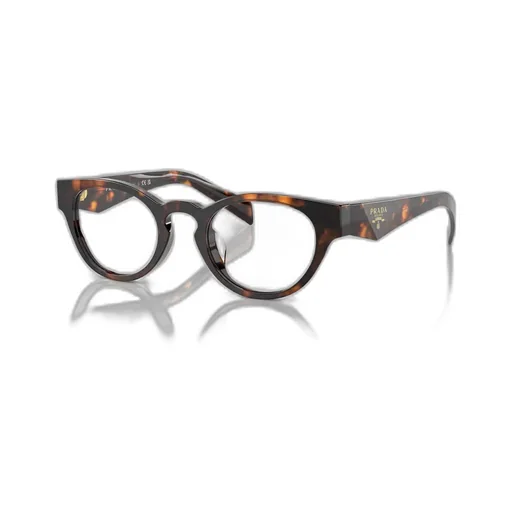 Oval Frame Glasses
