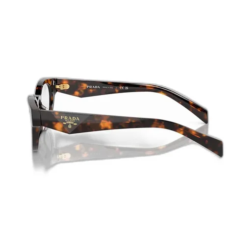 Oval Frame Glasses