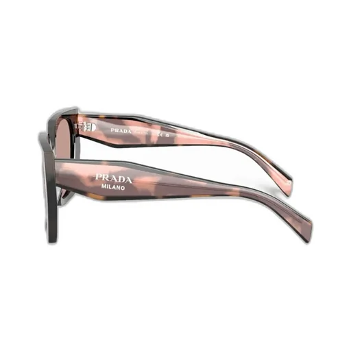 Cat-Eye Sunglasses