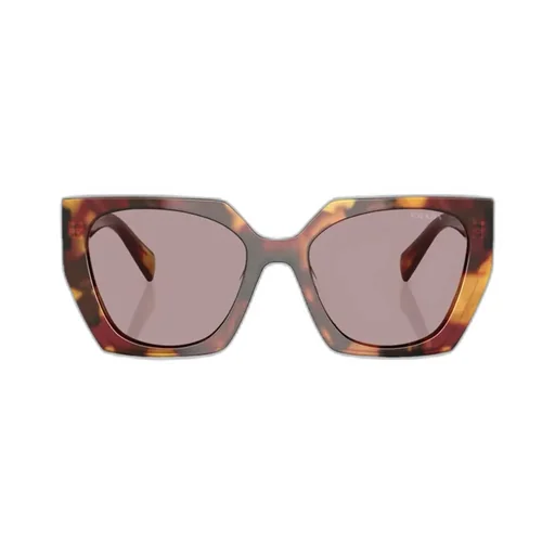 Cat-Eye Sunglasses