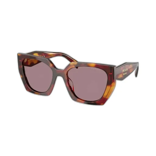 Cat-Eye Sunglasses