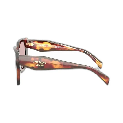 Cat-Eye Sunglasses