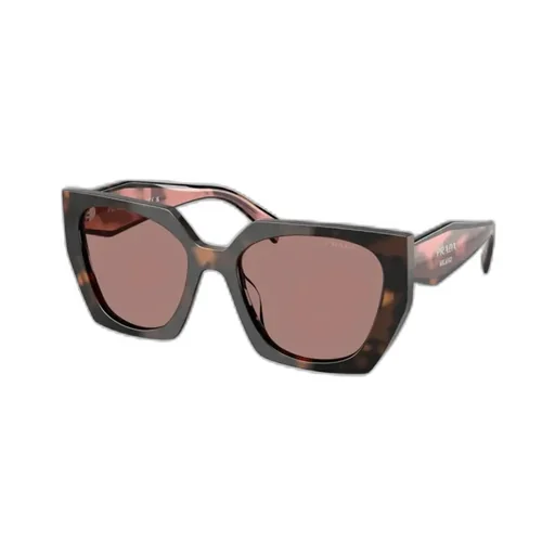 Cat-Eye Sunglasses