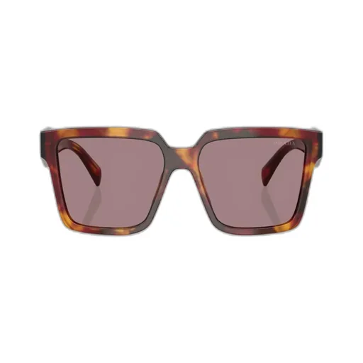 Full Frame Sunglasses