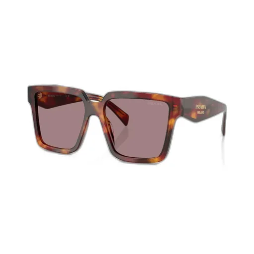 Full Frame Sunglasses