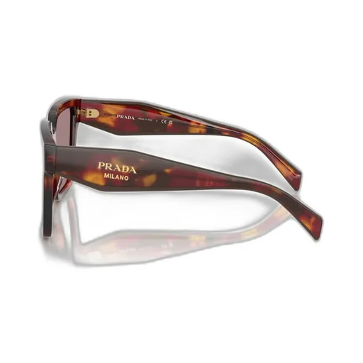 Full Frame Sunglasses