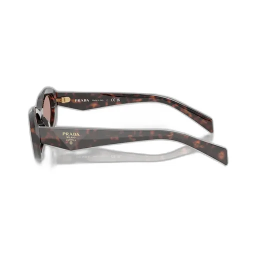 Cat-Eye Sunglasses
