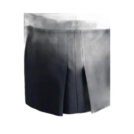 Mini Skirt