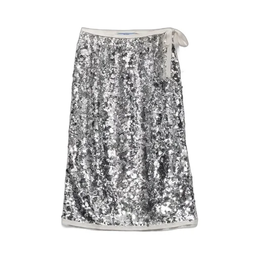 Embroidered Sequin Skirt