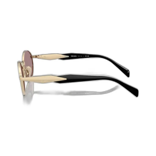 Oval Frame Sunglasses