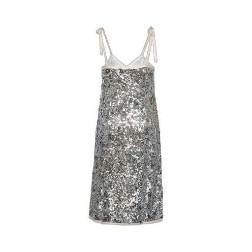 Embroidered Sequin Dress