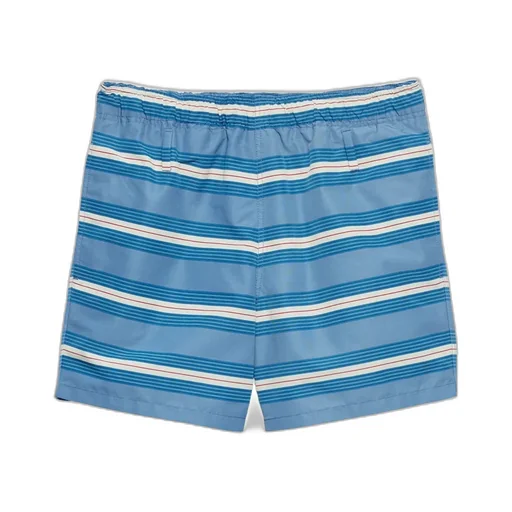 Striped Swim Trunks