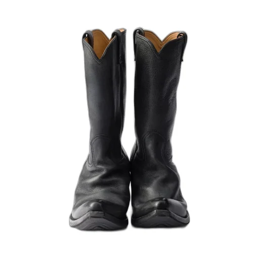 Pointed-Toe Western Boots