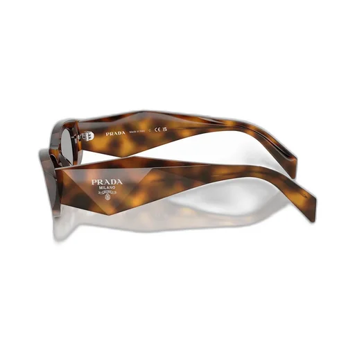 Cat-Eye Sunglasses