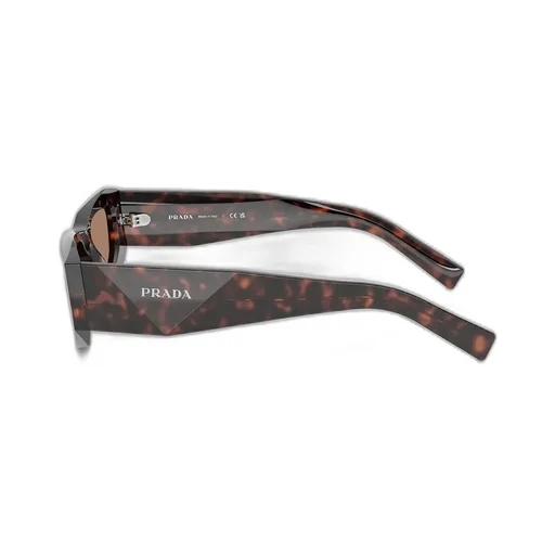 Cat-Eye Sunglasses
