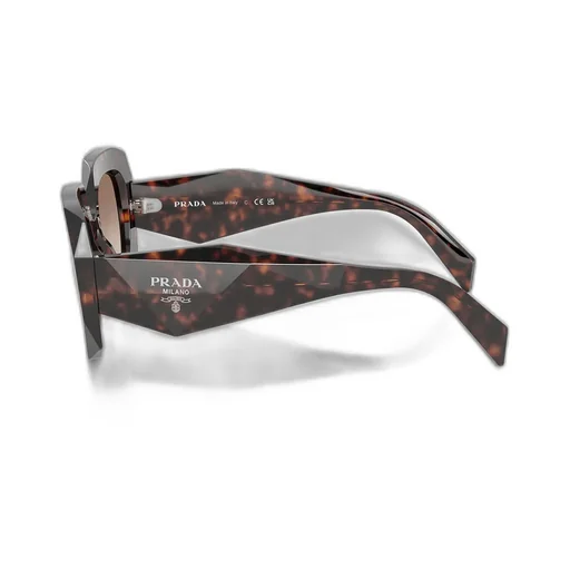 Oversized-Frame Sunglasses