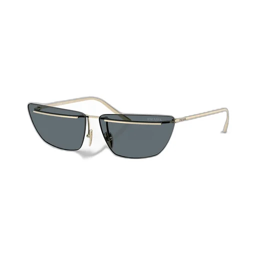 Butterfly Frame Sunglasses