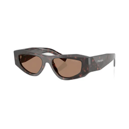 Cat-Eye Sunglasses