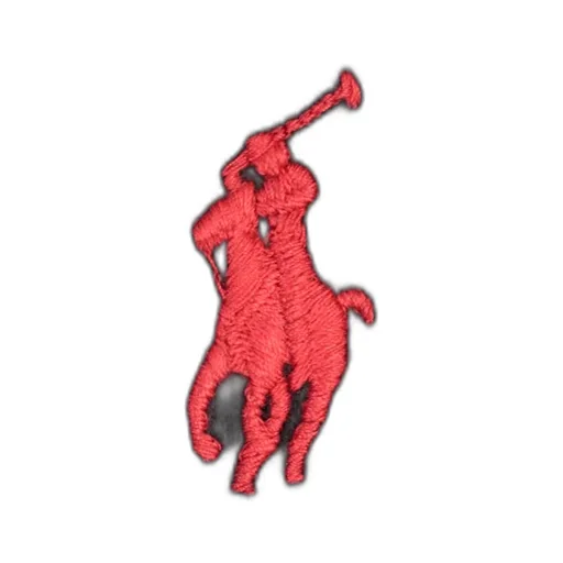 Logo Embroidery Hoodie