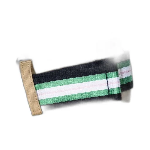 Striped Belt Shorts