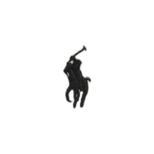 Pony Embroidered Crewneck Sweatshirt