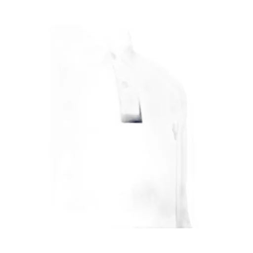Polo Pony Long Sleeve Polo Shirt
