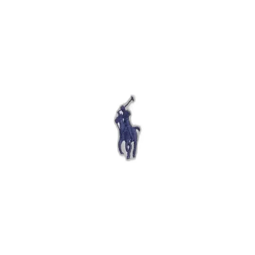 Pony Embroidered Drawstring Hoodie