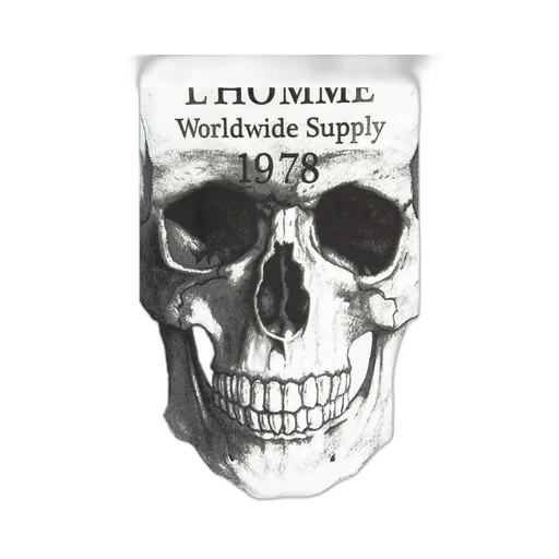 Skull Printed T-Shirt