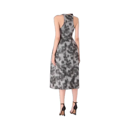 Printed Sleeveless Pleated Dress