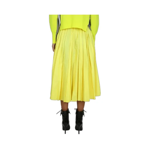 Pleated Mid-Length Flared Skirt