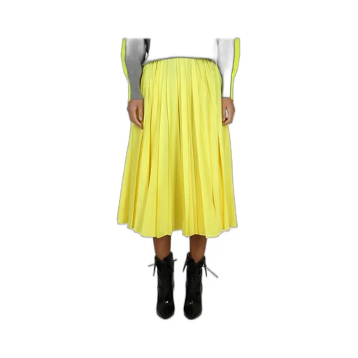 Pleated Mid-Length Flared Skirt