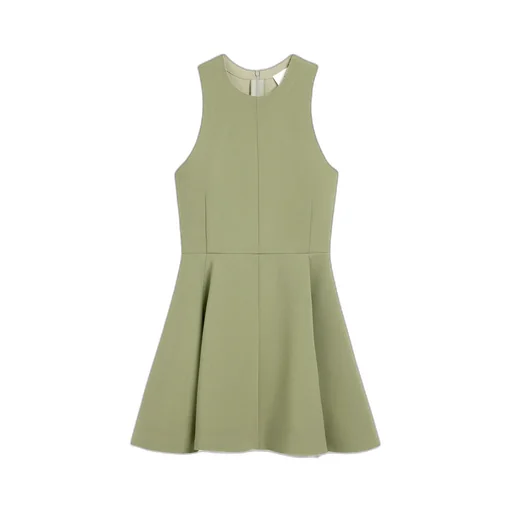 Short Flared Dress