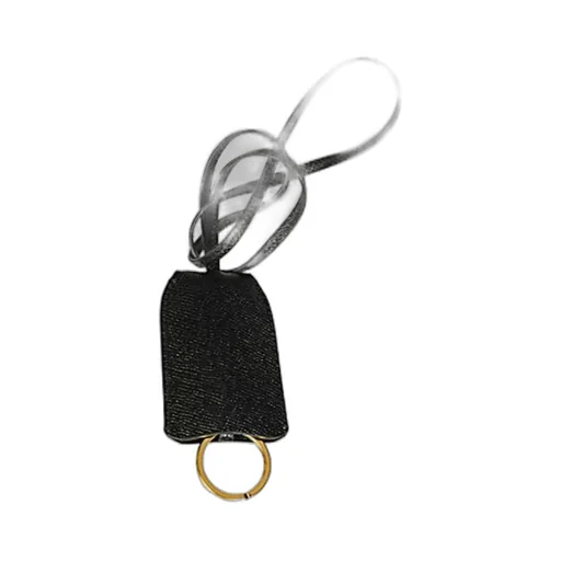 Logo Keychain