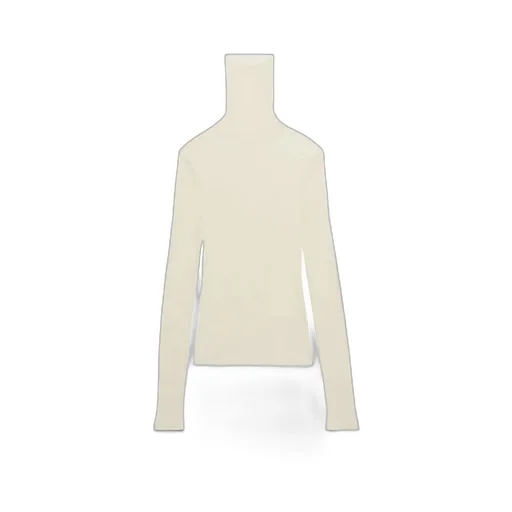 Semi-Sheer Roll-Neck Ribbed-Knit Jumper