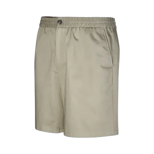 Regular Fit Chino Shorts