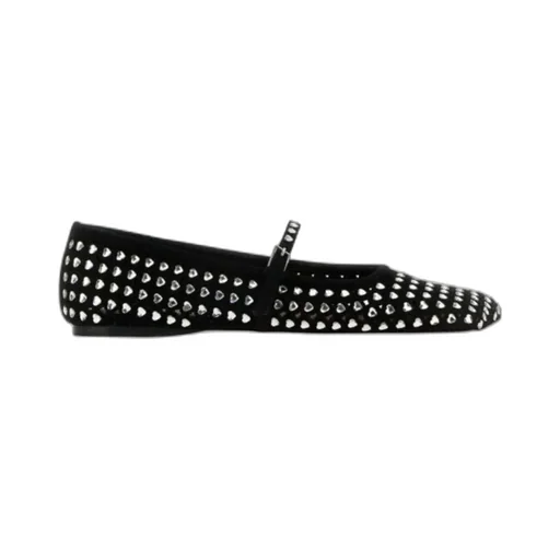 Ane Ballet Shoes