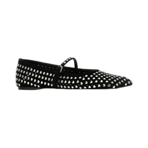 Ane Ballet Shoes